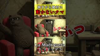 1歩も動かないクマがケーキを取るまでが面白過ぎる【La Madriguera】#shorts