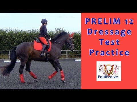 Prelim 2 (2005 Prelim 12) Dressage Test Learning Tool