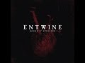 Entwine - Another Life 