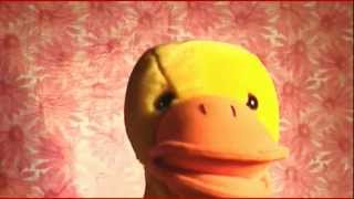 I just died in your arms - Cutting Crew (Cover) - The Singing Duck of Queens