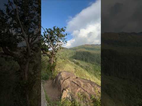 Needle Rock View Point