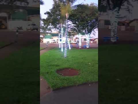 Cantar dos pássaros Joviânia-GO Brasil...