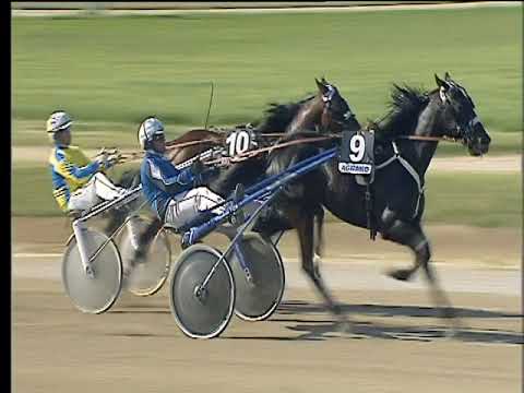 Trotto 20/04/2018 - 4ª corsa