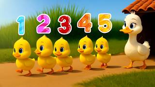 เพลงเป็ด ลูกเป็ด 5 ตัว การ์ตูนน่ารักๆ เพลงเด็กคิดส์มีซอง 2568 | KidsMeSong