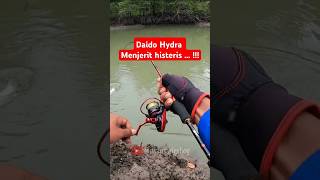 Download lagu Jeritan reel Daido Hydra SW 1000 feat Maguro Ballista FG Clan #castingbarramundi #ultralightfishing mp3