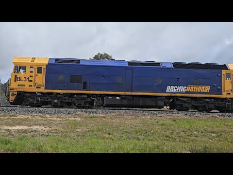7902V PN up Fruitflyer (BL31, G540, BL32), Mildura to Melbourne, 1215, 20/9/24, Ararat Junction VIC