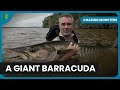 Canoe Vs Crocodiles Chasing Monsters S05 EP503 Fishing Show