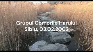 Pe piatra aspră - Nicolae Moldoveanu (grup coral Comorile Harului)
