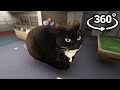 Maxwell The Cat 360° - VR Experience