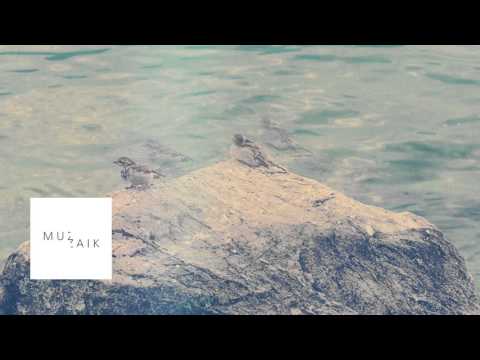 Deep and Dub techno mix - DAVE MARIAN - Muzaikfm 027