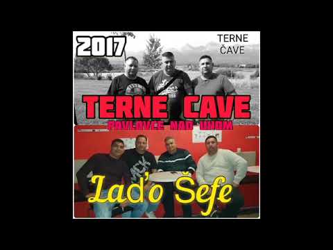 PAVLOVCE TERNE CAVE 65 - LADO SHEFE   rok 2017
