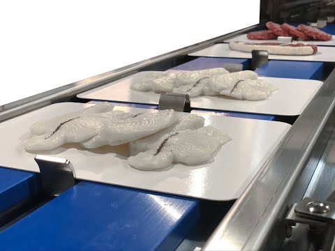 ILPRA 1465 - Vacuum Skin Packing to Flat Boards