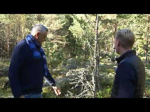 Ernst Kirchsteiger filosoferar om pinnar