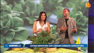 campania 4 0 coldiretti cosi abbiamo cambiato l agricoltura