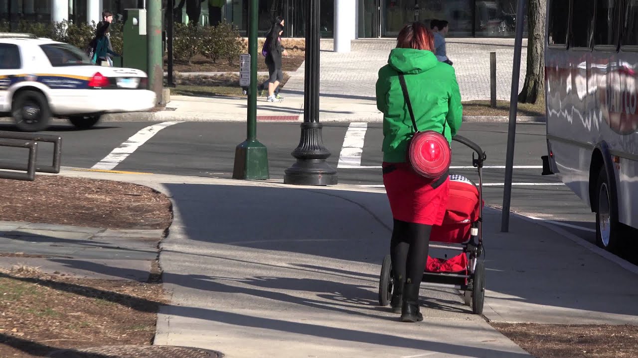 Видеокамера Sony FDR-AX100E