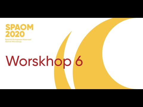 WORKSHOP 6 - Practical Applications of Deep learning for Bioimage Analysis