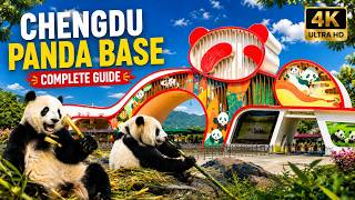 Explore Chengdu Giant Panda Research Base – Complete Guide to Pandas, Bookstore & Panda Café