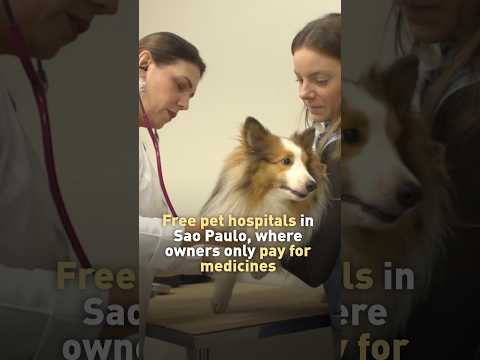 Free veterinary hospitals in Sao Paulo