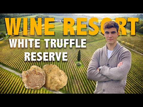 WINE RESORT FOR SALE IN SIENA TUSCANY, ITALY - WHITE TRUFFLE RESERVE | TARTUFO BIANCO TOSCANA