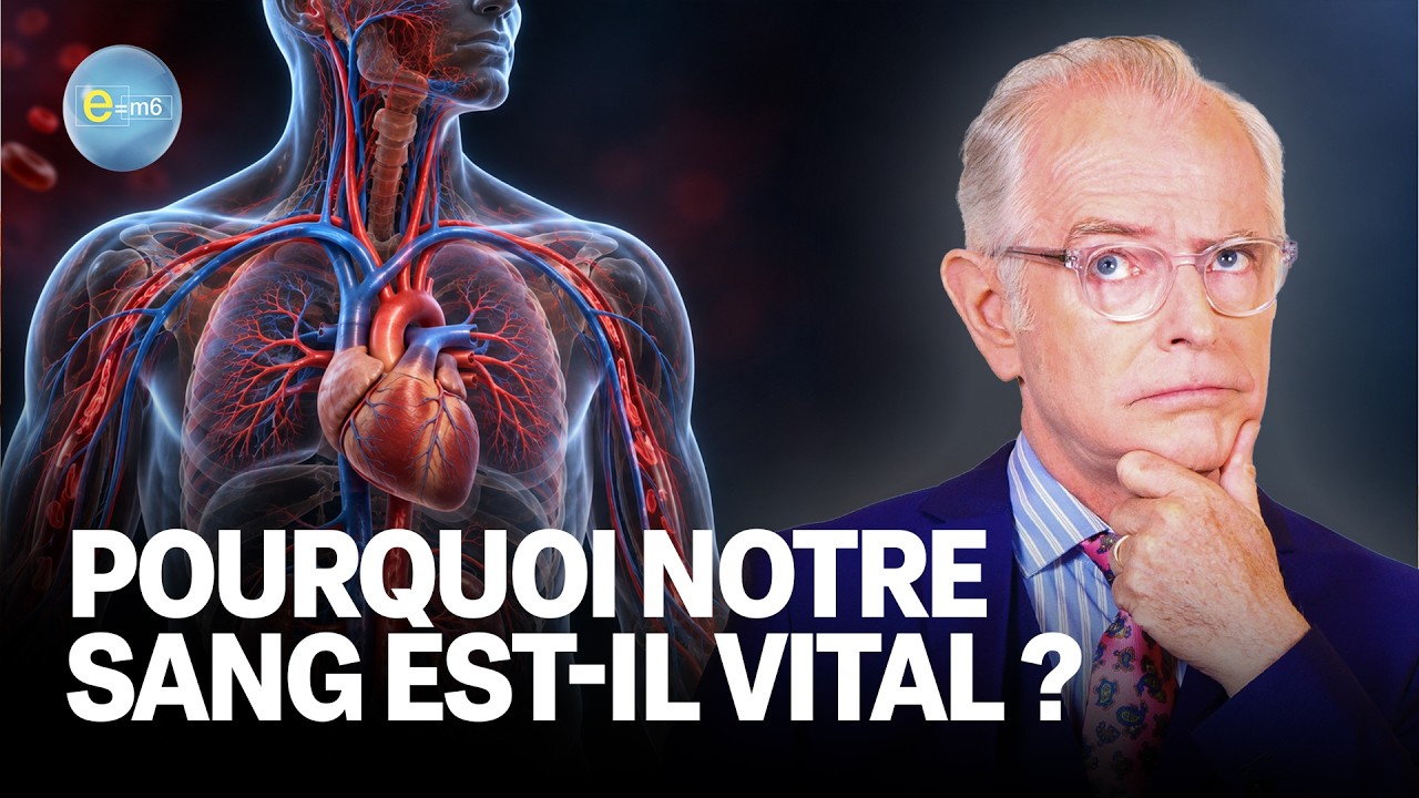 SANG : les incroyables super-pouvoirs de notre corps | E=m6