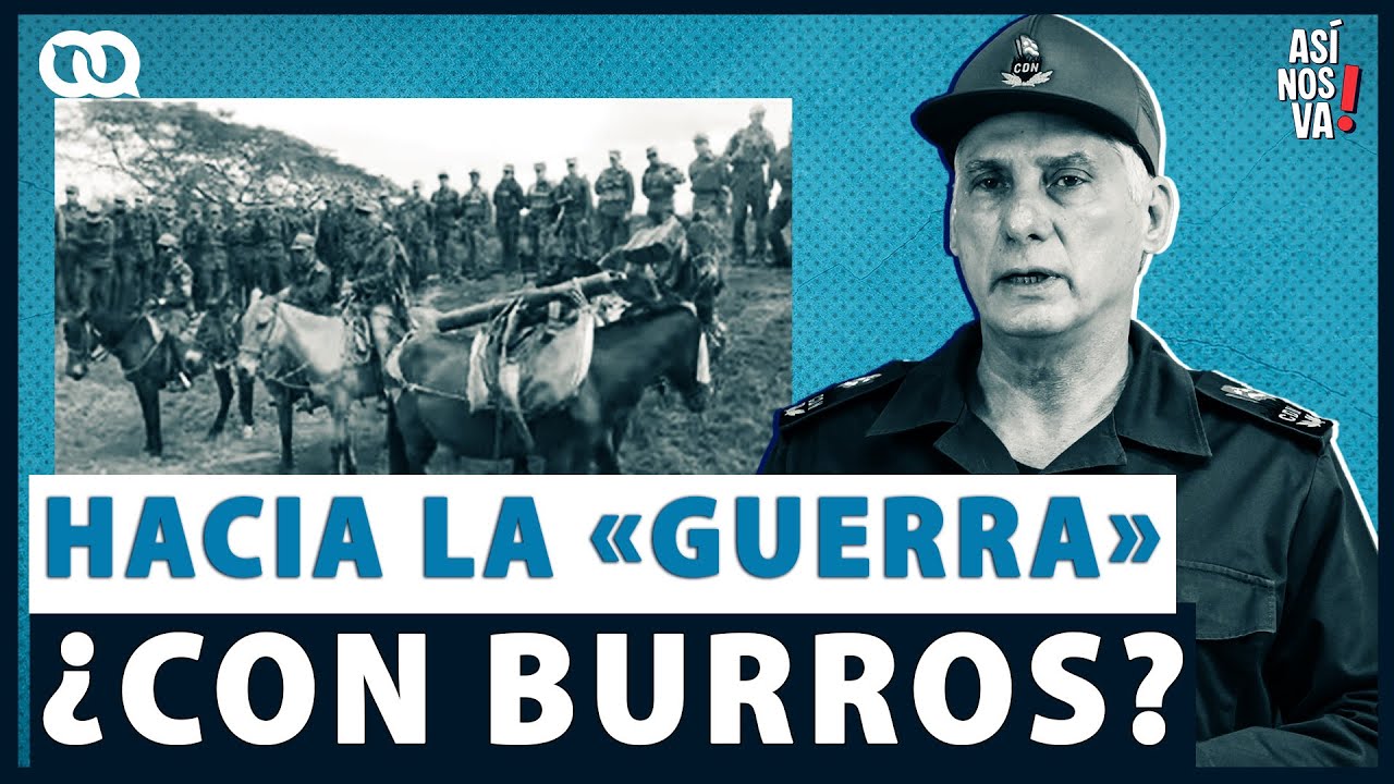 Cuba se prepara para la guerra ¿con burros?