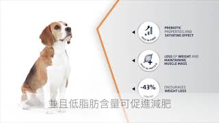 ADVANCE處方狗糧 – 減肥專用配方（Dog Weight Balance） 簡介