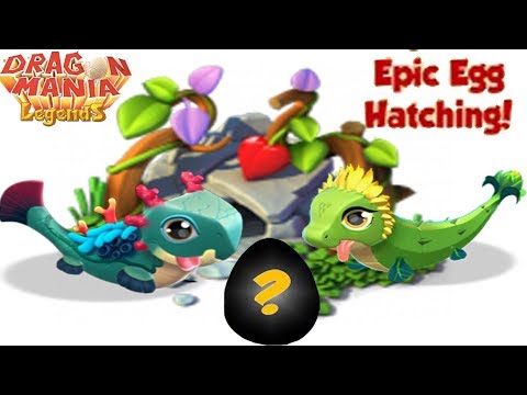 Epic Egg Hatching! Sunflower dragon + Coral Dragon | Dragon Mania Legends | Part 986 HD