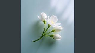 Download lagu Melati putih mp3 Download lagu Melati putih mp3