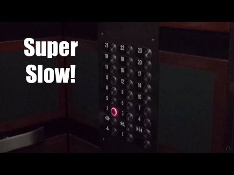 SLOW Otis Low Rise (2-23) Traction Elevators @  Park Tower - Chicago, IL