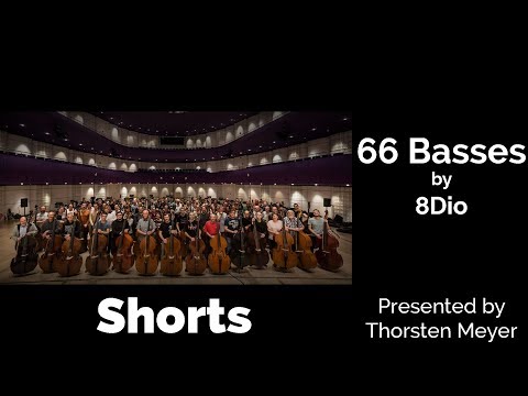 Legion Series 66 Basses by 8DIO Shorts