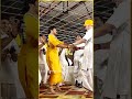 Satya Sanatan Sanatan Dharm Status Sanatandharm Hinduism Bageshwardhamsarka