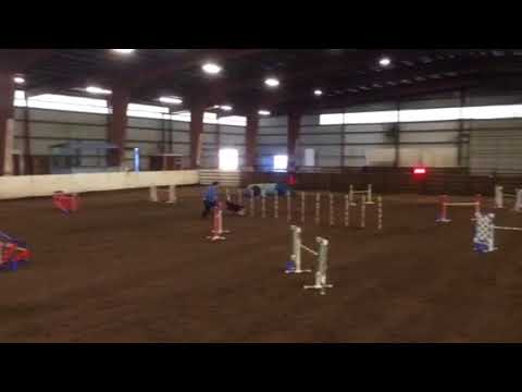 Dobey Trial 11.17.17 Franky 24” JWW