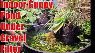 Indoor Guppy Pond Tutorial #easy #undergravelfilter 