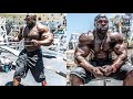Home Workout (BACK + BICEPS) - Kali Muscle