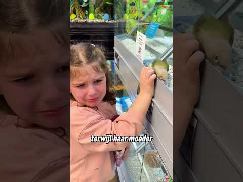 De reden waarom het meisje huilde toen ze die vogel zag ♥️