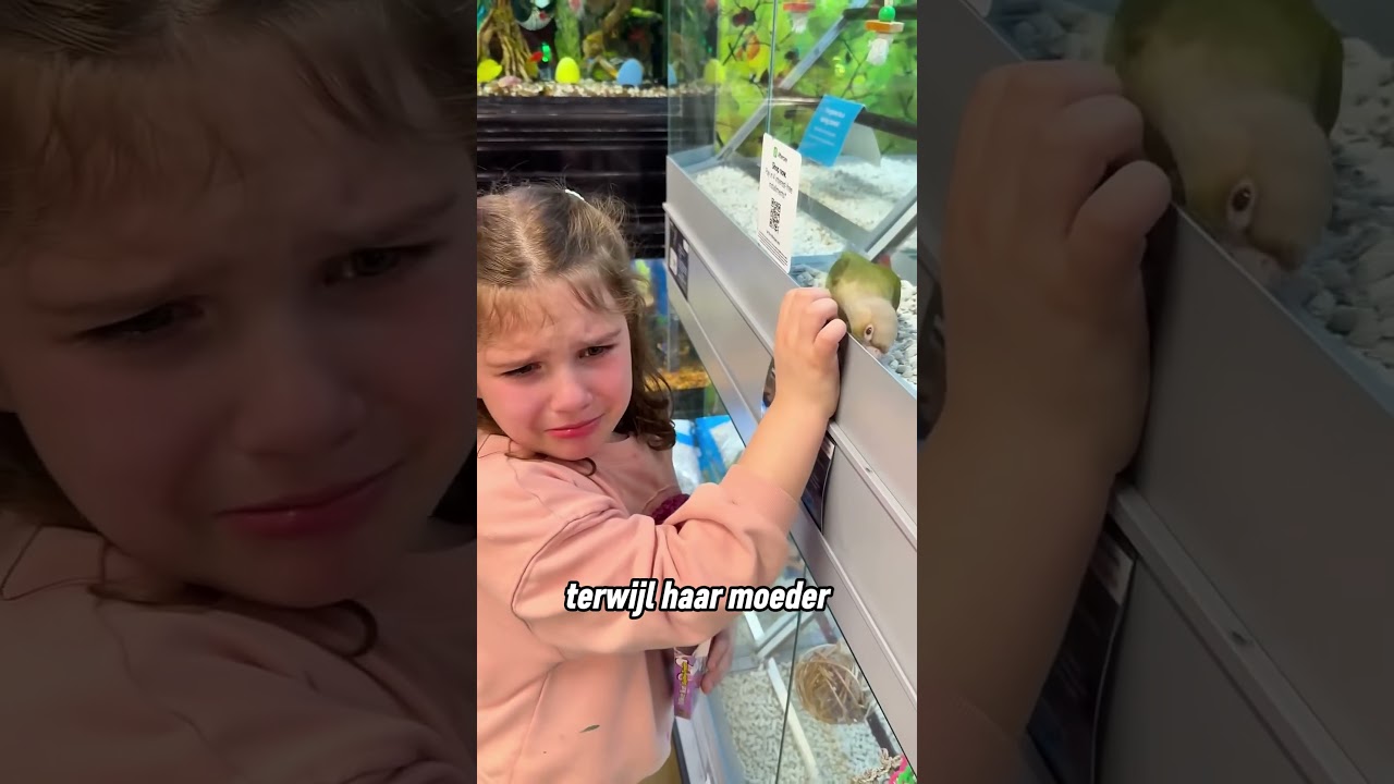 The reason why the girl cried when she saw that bird ♥️