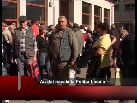 Au dat năvală la Poliția Locală