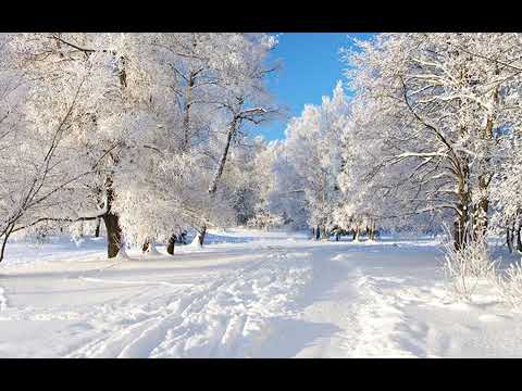 Marius Gorcea, Speranta-S-a Nascut Un Imparat Volumul 13