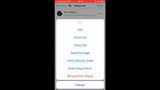 Make a group member as an Admin of whatsapp group in iPhone app
