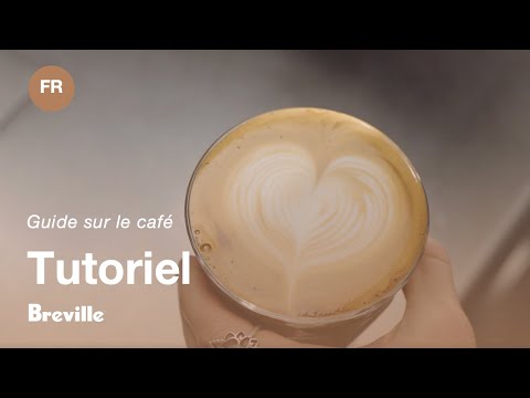miniature vidéo