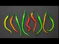 Dancing Peppers