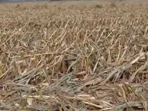 1493 Sismica a Castellucchio con Marco Melli Geologo