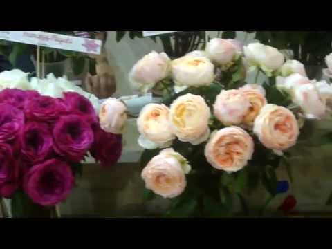 Flowers Expo 2016 in Russia