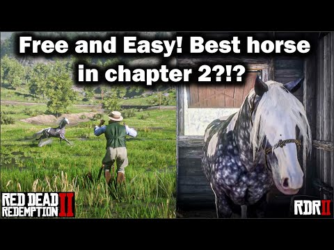 Free and Easy to get Missouri Fox Trotter in Chapter 2 - Red Dead Redemption 2 - RDR2 in 2021 -Horse
