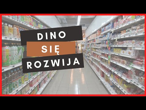 Wyniki finansowe choć lepsze to zawodzą? - Dino, Vigo System, Mostostal Zabrze