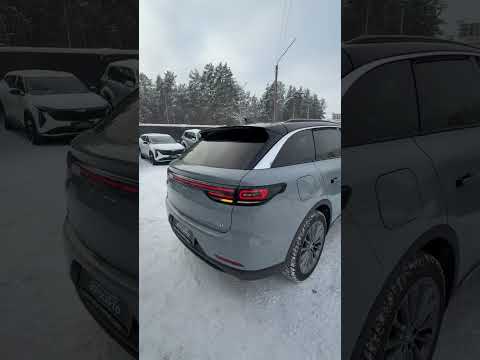 фото leapmotor c11 i 0