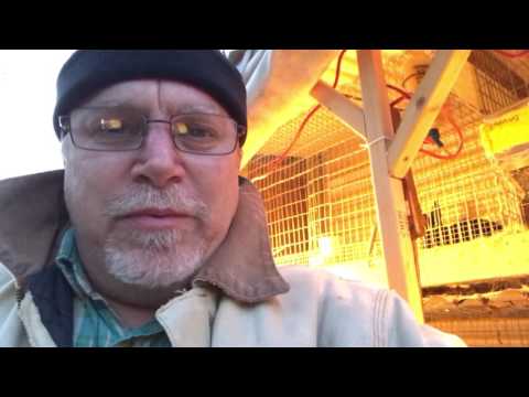 VR to Corn Cob Pipe (& homestead update)