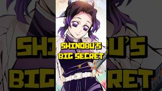 Download lagu Shinobu Hides Something from Every Hashira | Demon Slayer Season 4 Insect Hashira Explained mp3 Download lagu Shinobu Hides Something from Every Hashira | Demon Slayer Season 4 Insect Hashira Explained mp3