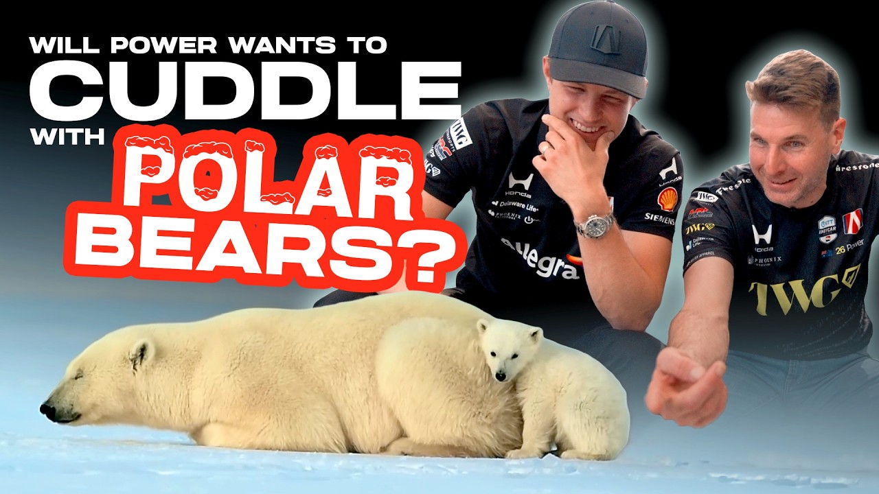 Click to watch the video “Will Power Wants to Cuddle with Polar Bears!”