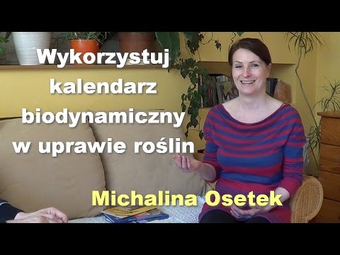 Maskować rozdwajaniu i wzrostu Japońskie produkty do włosów laminowanie
